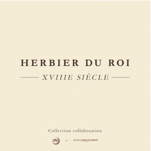 Universe - Herbier du Roi - Collaboration RMN-Grand Palais - 12