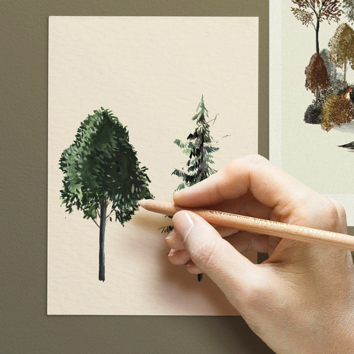 Nos dessins à l'origine de nos motifs sont inspirés par le monde exterieur