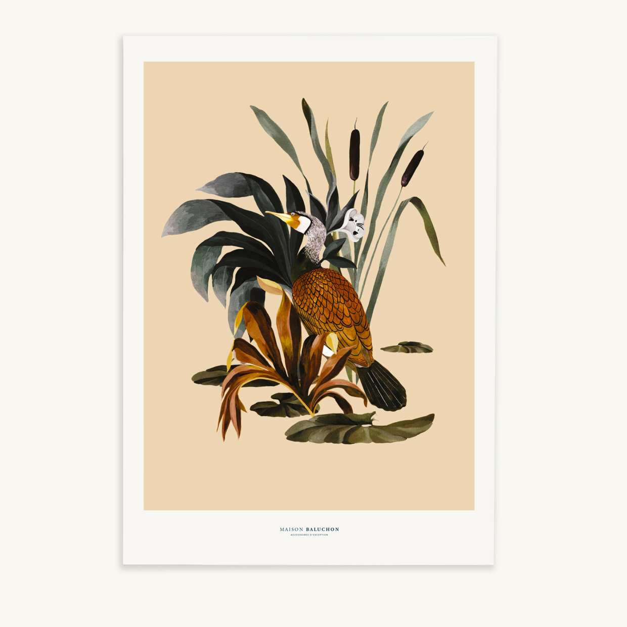 Maison Baluchon - Illustration A3 size - Sauvage N°26 Ecru