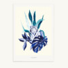 Maison Baluchon - Illustration A3 size - Jungle N°18