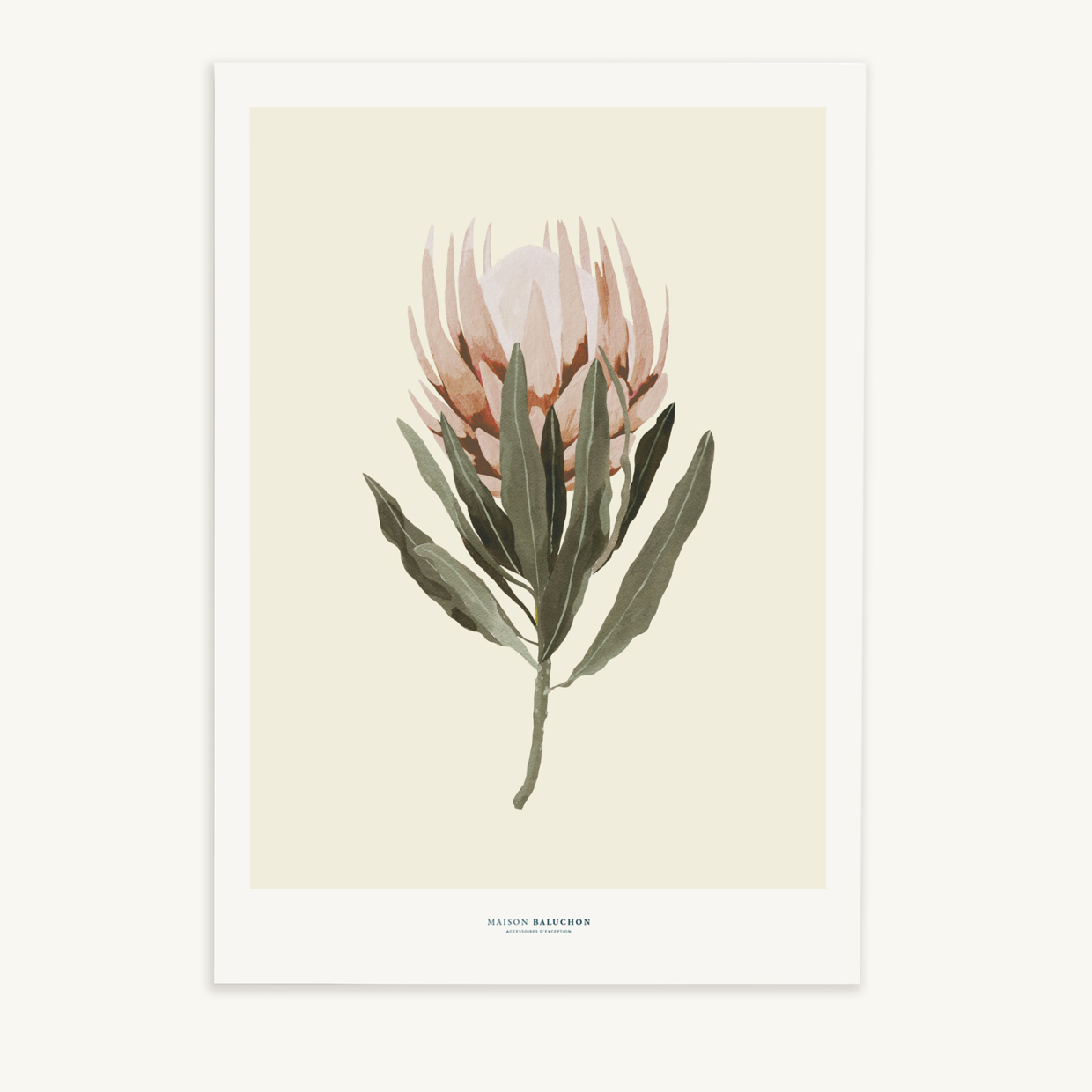 Maison Baluchon - Illustration A3 size - Tropical N°14