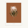 Maison Baluchon - Illustration format A3 - Tropical N°16