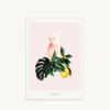 Maison Baluchon - Illustration A4 size - Jungle N°03