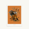 Maison Baluchon - Illustration A4 size - Sauvage N°26 Terracotta