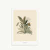 Maison Baluchon - A4 Illustration - Tropical N°17 Bronze