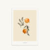 Illustration format A4 - Tropical N°17 Ecru - Maison Baluchon
