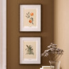 Illustrations collection Jardin Tropical composées de chats sauvages & grenades - Maison Baluchon