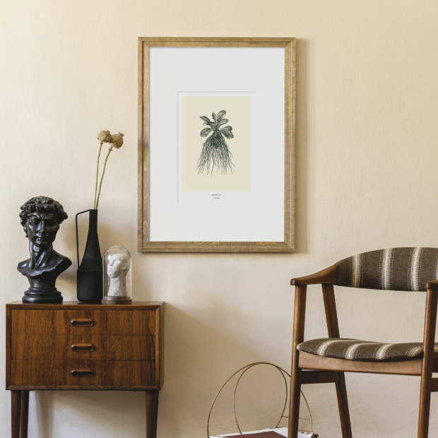 Maison Baluchon - Illustration format A3 - Collection Herbier du roi Vert