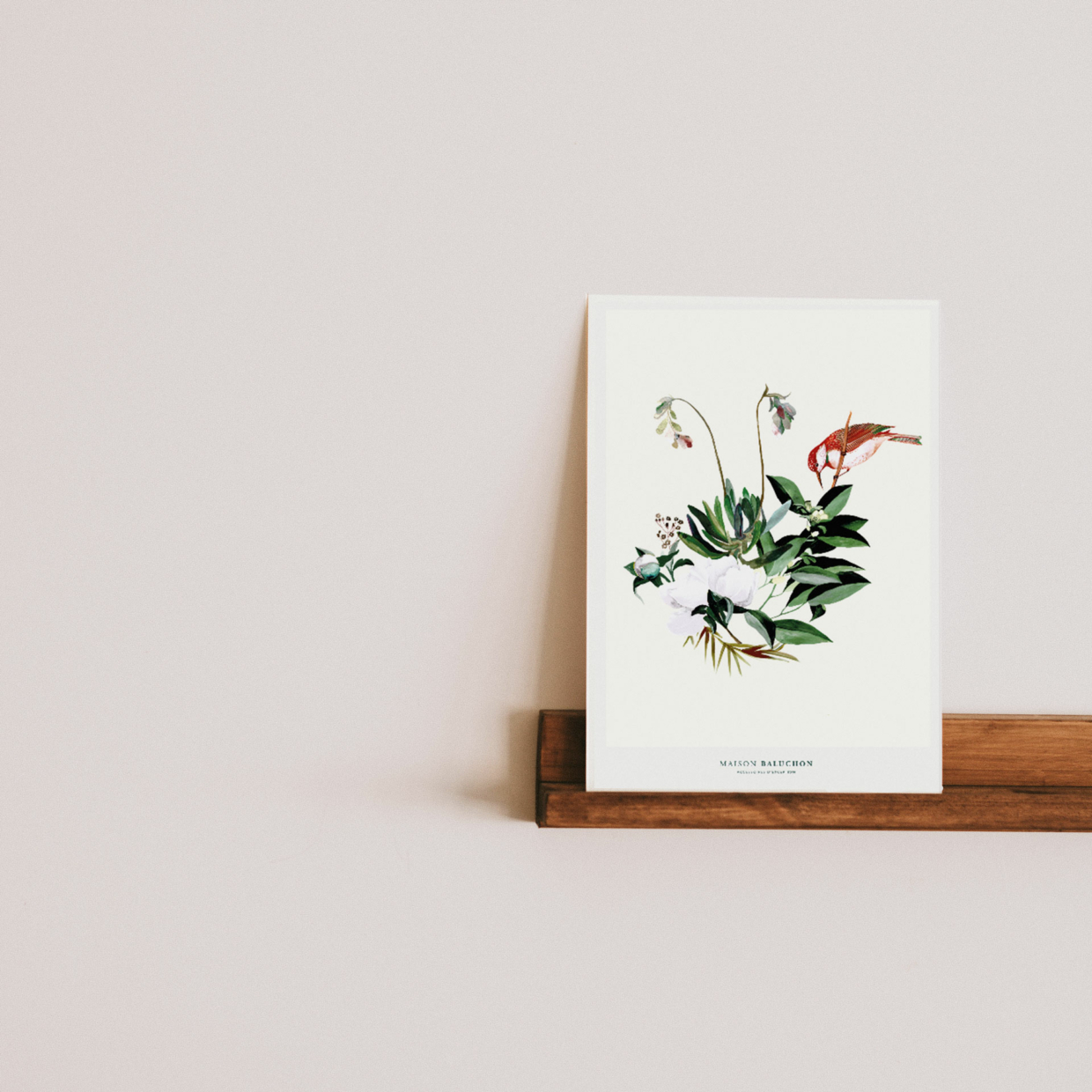 Illustrated graphic poster - Collection Oiseau, ecru background