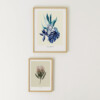 Illustration Maison Baluchon printed in France