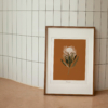Maison Baluchon - Illustration collection tropical N°16 Terracotta format A3