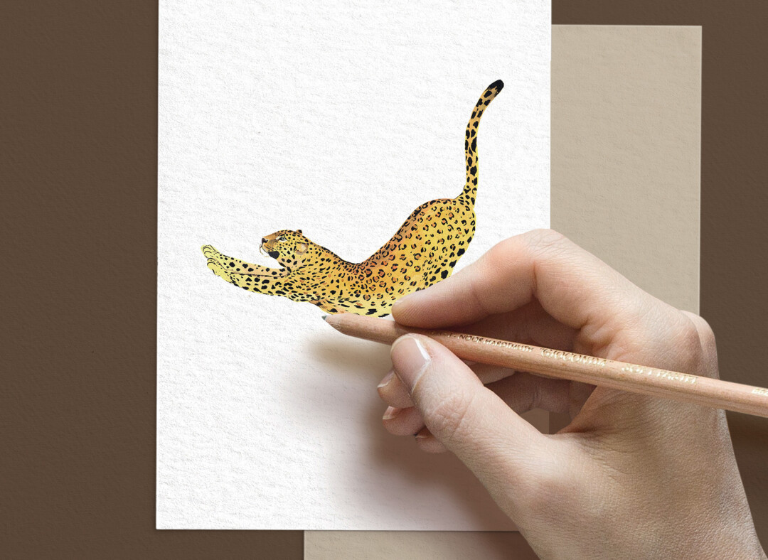 Collection Félin avec chats sauvages dessinés à la main - Maison Baluchon