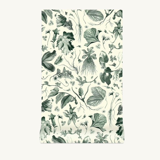 Non-woven wallpaper Herbier du Roi - Green