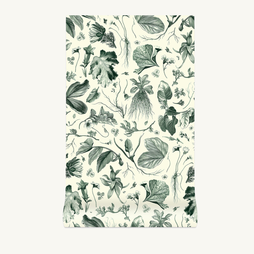 Non-woven wallpaper Herbier du Roi - Green custom-made by Maison Baluchon