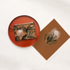 Maison Baluchon - Collection tropical N°16 - Fond Terracotta, fleur de protea