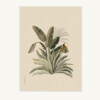 Maison Baluchon - Toile canvas 50 x 70 cm - Tropical N°17 Bronze