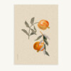 Maison Baluchon - Canvas fabric 50 x 70 cm - Tropical No. 17 Ecru