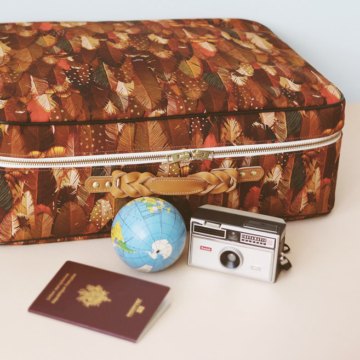 Universe - Feather pattern suitcase - Sauvage N°16